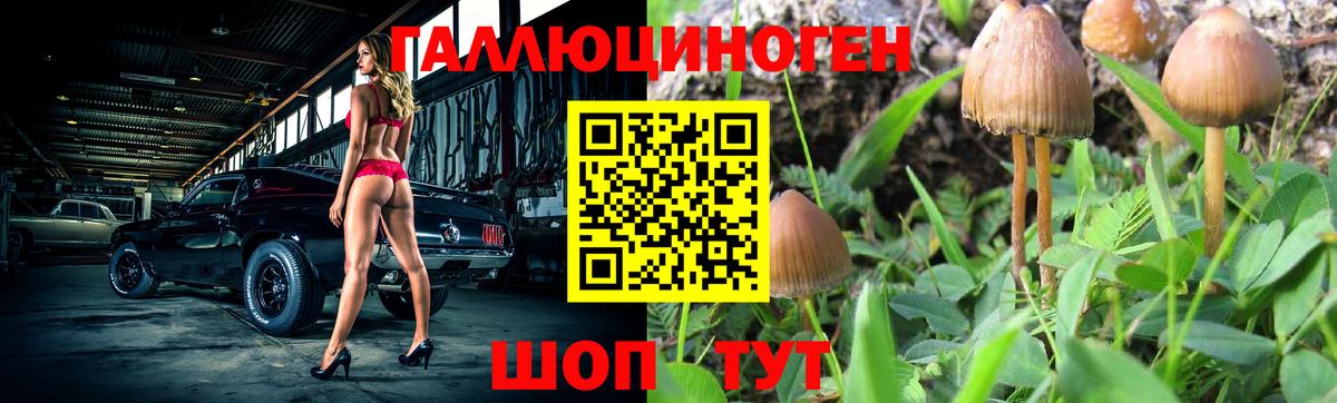 Домодедово  Галлюциногенные грибы Psilocybe  Вход с VPN 