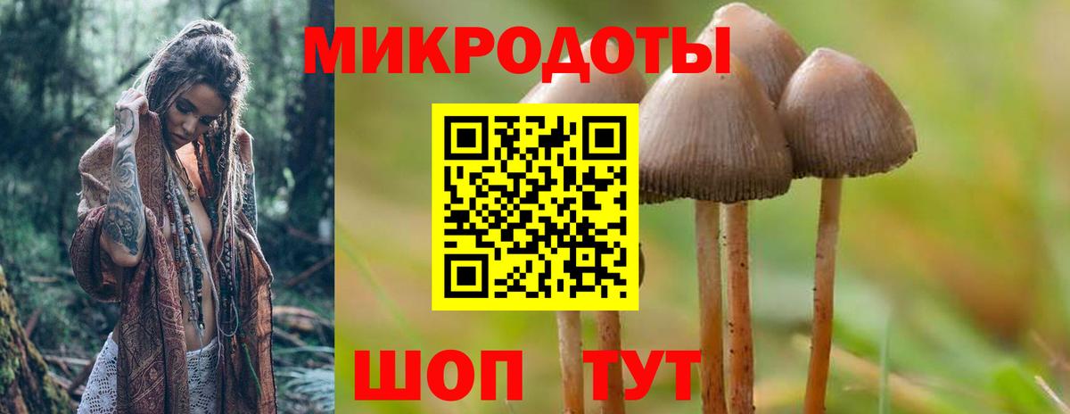 Галлюциногенные грибы MAGIC MUSHROOMS Домодедово